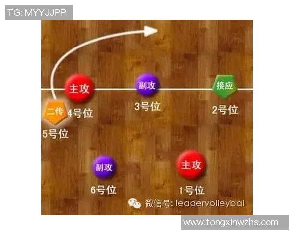 南京排球队快攻革新引领新时代战术潮流的深度解析与展望 南京排球队快攻革新引领新时代战术潮流的深度解析与展望