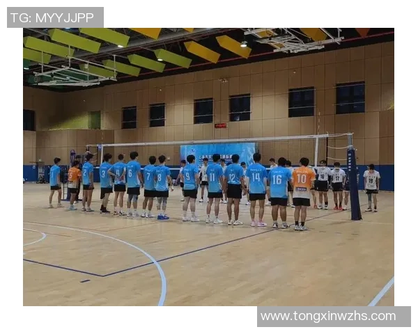 上海排球队技术创新再攀高峰引领排球新潮流