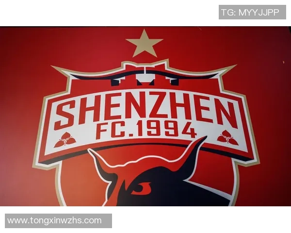 深圳排球队状态分析:聚焦球队表现与未来发展方向 深圳排球队状态分析:聚焦球队表现与未来发展方向