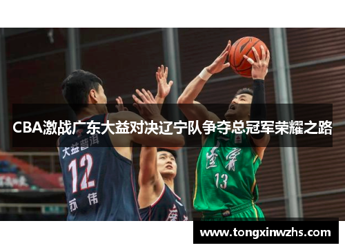 CBA激战广东大益对决辽宁队争夺总冠军荣耀之路