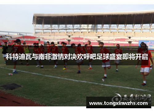 科特迪瓦与南非激情对决欢呼吧足球盛宴即将开启